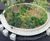 Bench Paris 2 - circular concrete planter seating and table 1