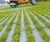 GDM.SCENIC LINER eco paving 3