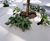 Planters for Orange HQ 4