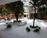 Planters for Orange HQ - on this page