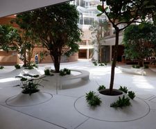 Planters for Orange HQ