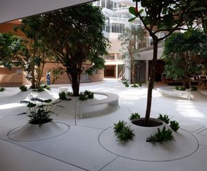 Planters for Orange HQ