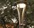 Alcott Street Lighting 6