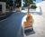 Italian street furniture for Coventry University 0