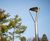 FGP Pedestrian Light 2