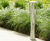 FGP Path Light 2