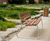 FGP co-ordinated street furniture range 1