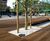 Harris Isola - outdoor timber and steel bench for public spaces 4