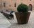 Pitocca - steel outdoor planter for commercial landscaping 8