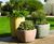 Larkspur Interior Planter 6