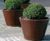 Pitocca Interior Planter 4