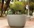Larkspur Planter 11