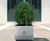 Dahlia - square steel planters for commercial outdoor spaces 4