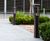 Ashbery Path Light 10