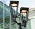 Ashbery Pedestrian Light 6