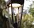 Ashbery Pedestrian Light 3