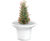Balzac Planter 5