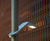 Torres Area Light 5
