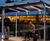 Introducing the Connect Shelter 2.0 0