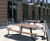 Plateau picnic table - Royal Holloway, London University 4