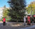 History-filled information signs for Speakers Corner 9
