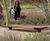 Generation 50 - outdoor timber and aluminum seating for public spaces 6