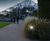 Low-level lighting for walkways at RHS Wisley Gardens 2