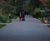 Low-level lighting for walkways at RHS Wisley Gardens 8
