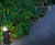 Low-level lighting for walkways at RHS Wisley Gardens 9