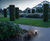 Low-level lighting for walkways at RHS Wisley Gardens 10