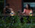 Plateau Point Sun Picnic Table 5
