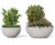 Ball - reconstituted stone outdoor semi-spherical planter 1