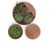 Parabel - corten steel outdoor planter with optional wood seat 2