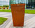 Corten steel for Harper & Keele Veterinary School 3