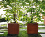 Dahlia - square steel planters for commercial outdoor spaces - on this page