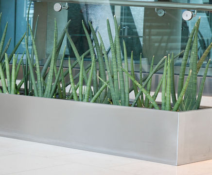Bespoke stainless steel planters