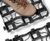 CellPave® 50 heavy-duty cellular grid system 6