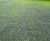 CellPave™ GP - no-dig cellular interlocking grass pavers 1