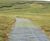 Moorland Mesh - reinforcement mesh for access roads 0