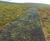 Moorland Mesh - reinforcement mesh for access roads 1