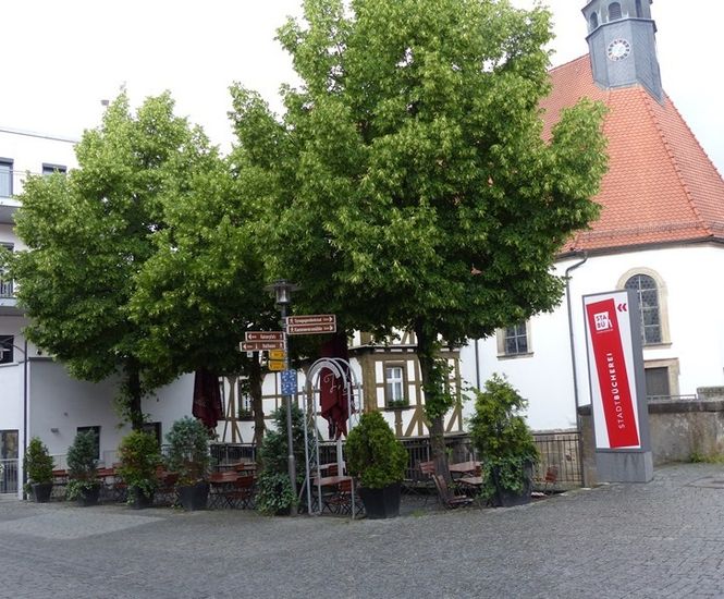 Root bridges to protect tree roots in urban areas