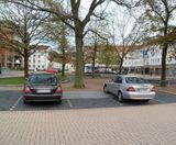 RootBridge provides parking solution near urban trees - on this page