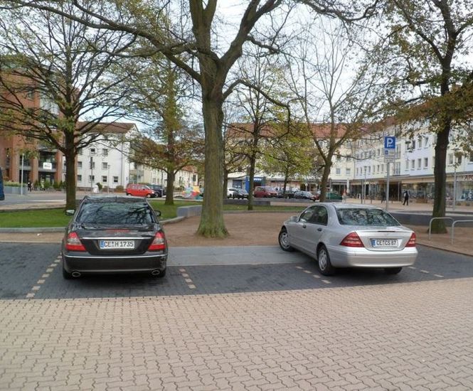 RootBridge provides parking solution near urban trees