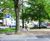 RootBridge provides parking solution near urban trees 2
