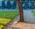 RB Pedestrian 1.5kN RootBridge - steel tree root walkway for pavements 3