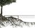 RB Pedestrian 1.5kN RootBridge - steel tree root walkway for pavements 2