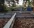 Carport built over RPA using tree root bridge 1