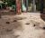 Carport built over RPA using tree root bridge 4