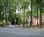 RB heavy duty tree root protector for new driveway 1