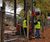 RB heavy duty tree root protector for new driveway 3